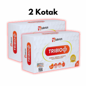 8 copy-min Set 2 Kotak