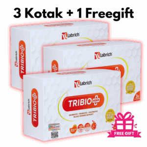 9 copy-min Set 3 Kotak + 1 Free gift